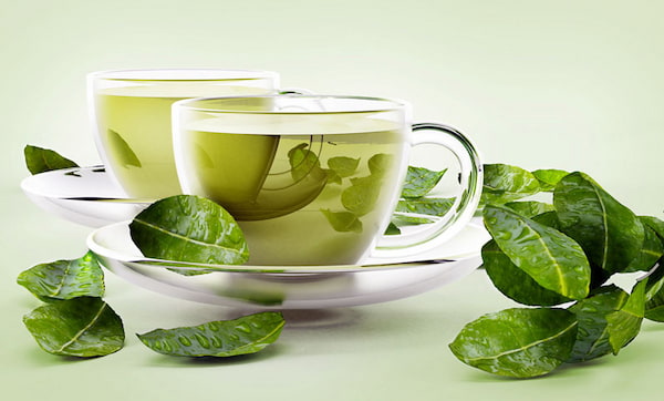 تصویر 5 از قیمت خرید معجون چای سبز با فروش عمده